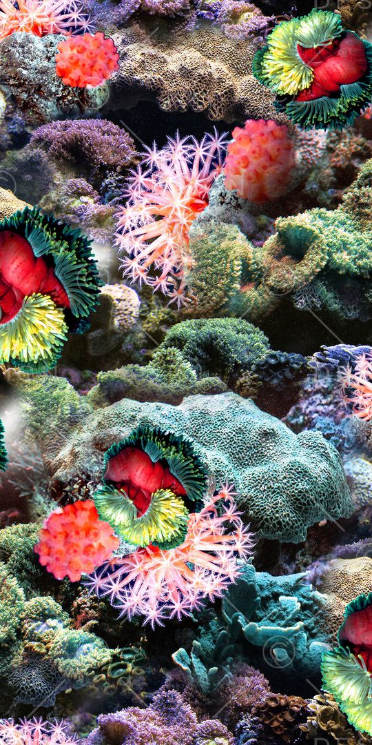 珊瑚印花华亿平台图片