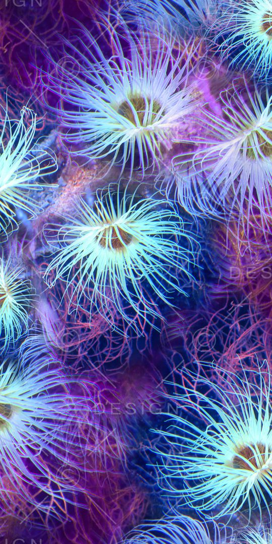 炫彩印花华亿平台图片