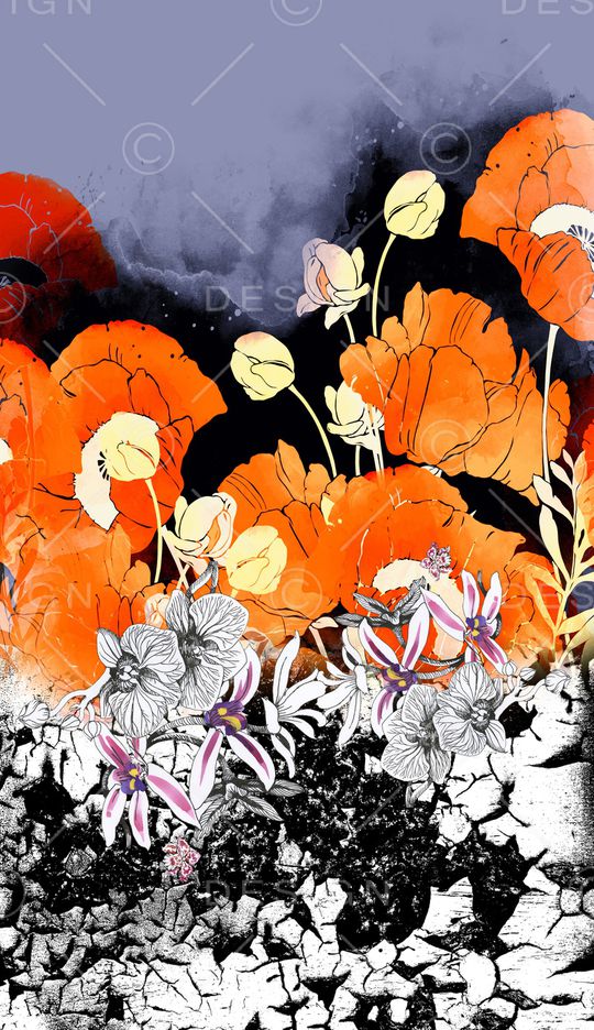 胸前独幅印花华亿平台图片