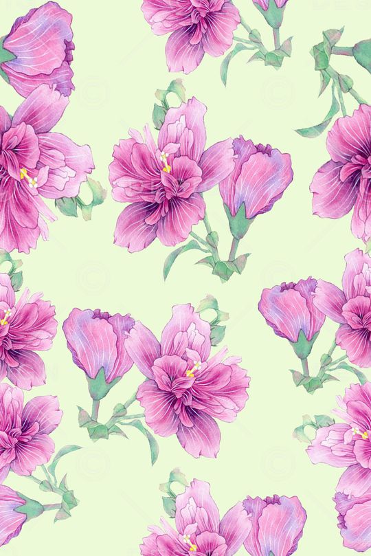 木槿花印花华亿平台图片