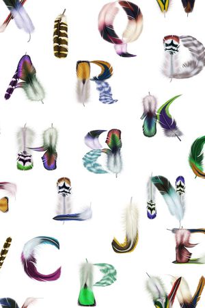 字母印花华亿平台图片