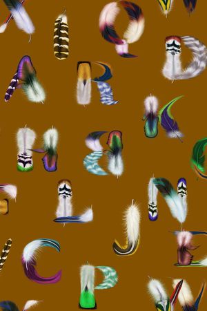 字母印花华亿平台图片