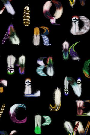 字母印花华亿平台图片