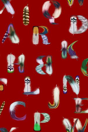 字母印花华亿平台图片