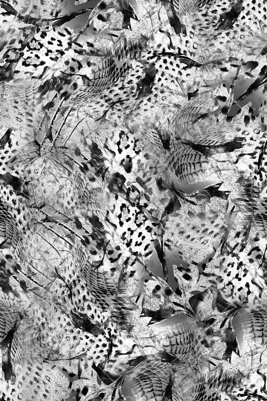 豹纹印花华亿平台图片