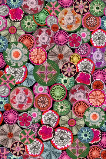 945445-WL7I8-50.1 副本