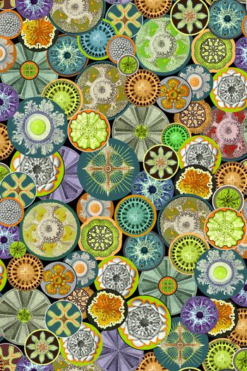 945446-WL7I8-50.2 副本