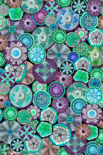 945448-WL7I8-50.3 副本