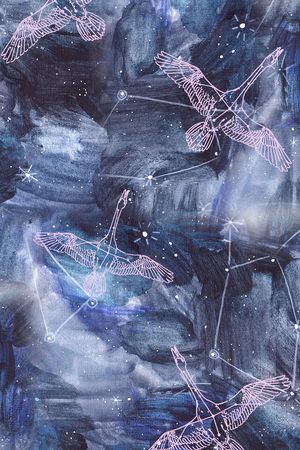 星座印花华亿平台图片