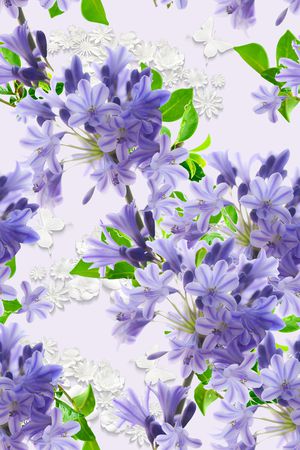 女装印花华亿平台图片