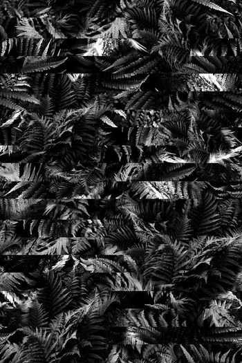 945740-FLZ17-10-4.....