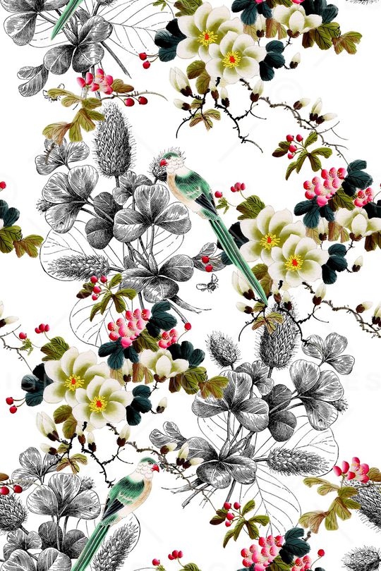 鸟印花华亿平台图片