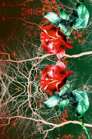 肌理印花华亿平台图片