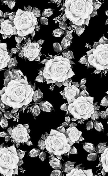 946212-手绘浅色玫瑰花卉--黑灰