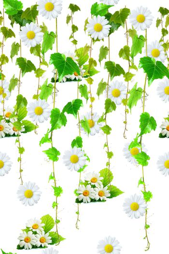 小碎花印花华亿平台图片