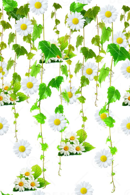 小碎花印花华亿平台图片