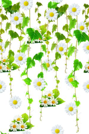 小碎花印花华亿平台图片