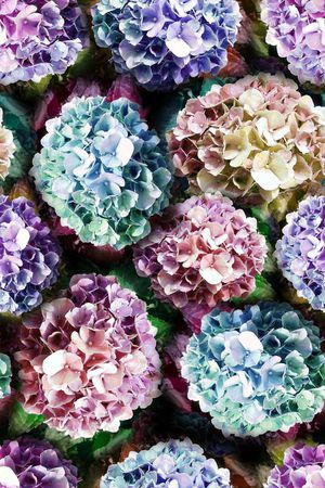 朦胧花卉印花华亿平台图片