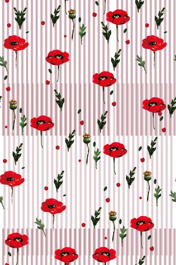 947104-201701007003psd