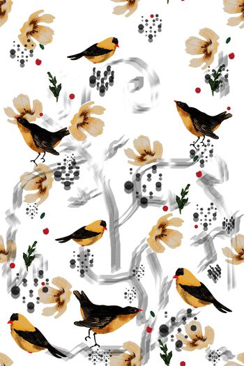 947109-201701007005psd