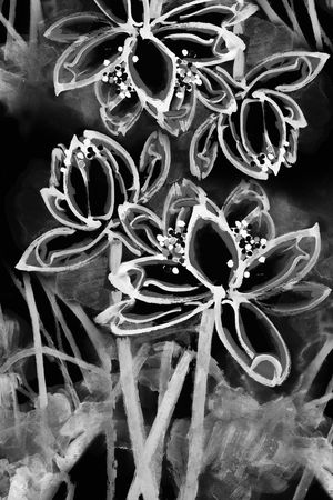 数码华亿平台印花华亿平台图片