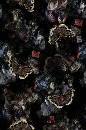 蝴蝶印花华亿平台图片