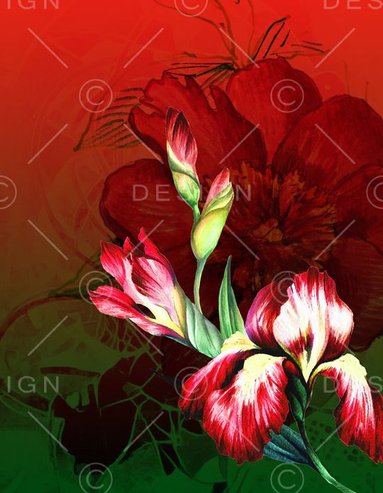 渐变印花华亿平台图片