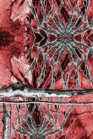 肌理印花华亿平台图片