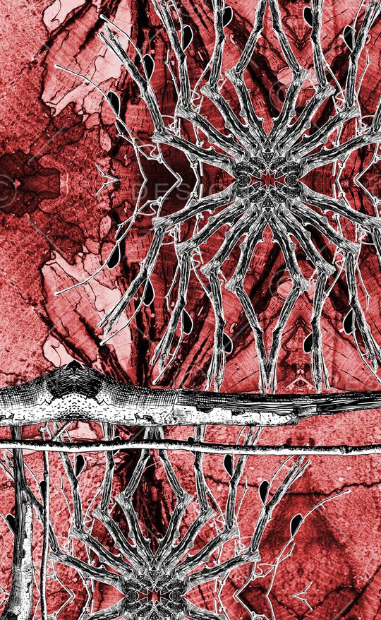 肌理印花华亿平台图片