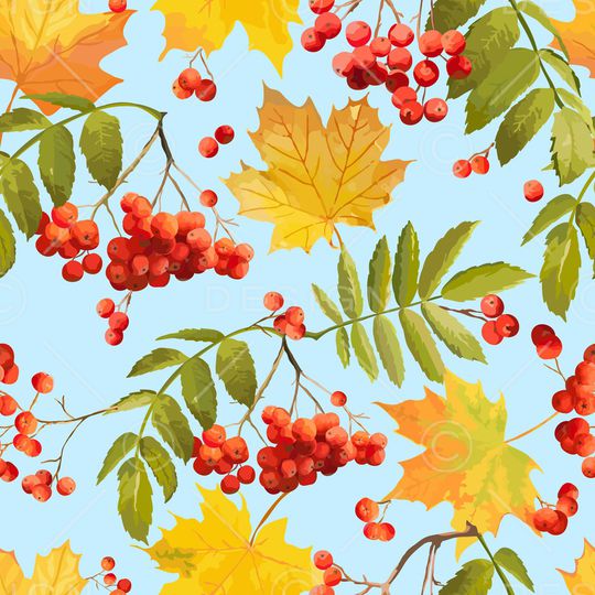 植物印花华亿平台图片