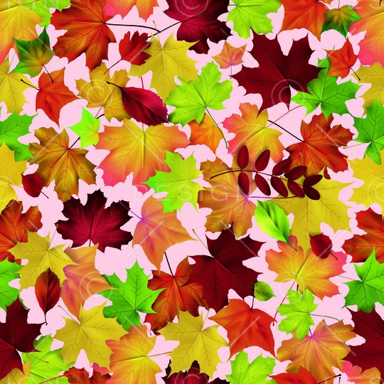 枫叶印花华亿平台图片