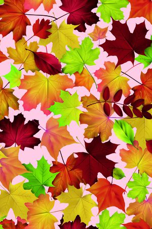 枫叶印花华亿平台图片