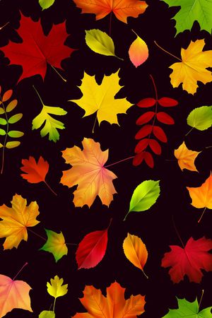 枫叶印花华亿平台图片