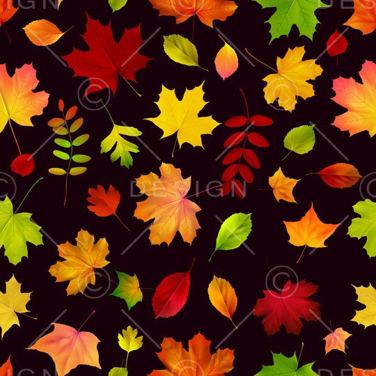 枫叶印花华亿平台图片