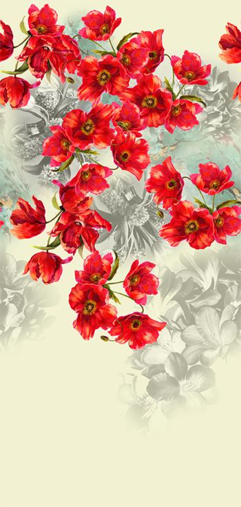 948849-定位罂粟花春夏