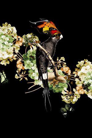 绣球花印花华亿平台图片