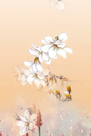 雪纺印花华亿平台图片