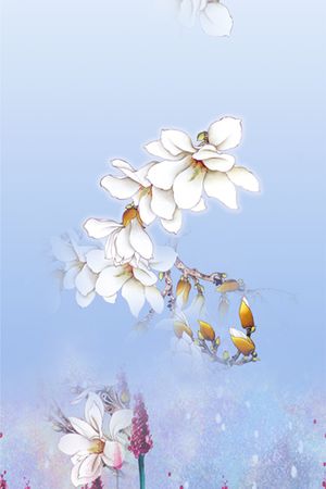 雪纺印花华亿平台图片