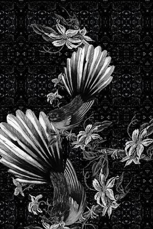 黑白华亿平台印花华亿平台图片