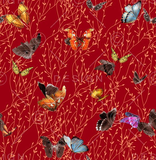 蝴蝶印花华亿平台图片