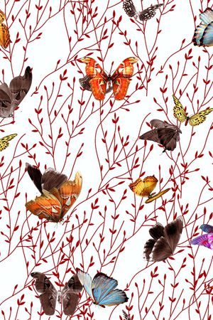 蝴蝶印花华亿平台图片