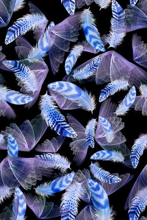 羽毛印花华亿平台图片