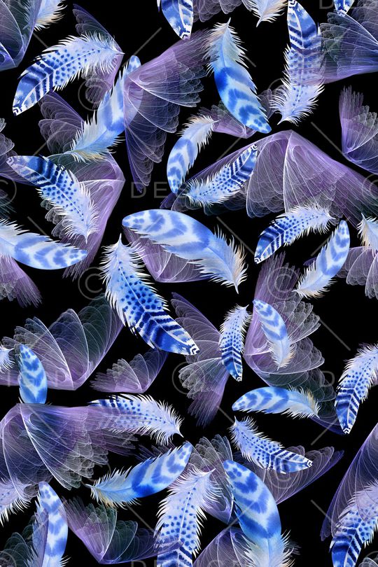 羽毛印花华亿平台图片