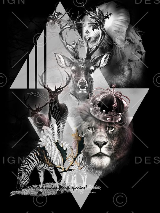 植物印花华亿平台图片