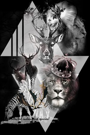 植物印花华亿平台图片