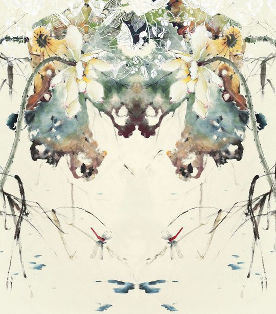 荷花印花华亿平台图片