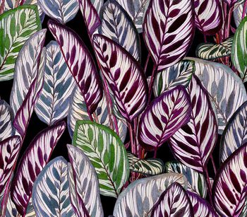 绿植树叶印花华亿平台图片