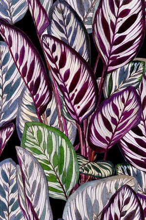 绿植树叶印花华亿平台图片