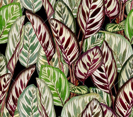 绿植树叶印花华亿平台图片