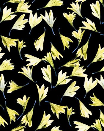 950253-36通透大牌花卉-B